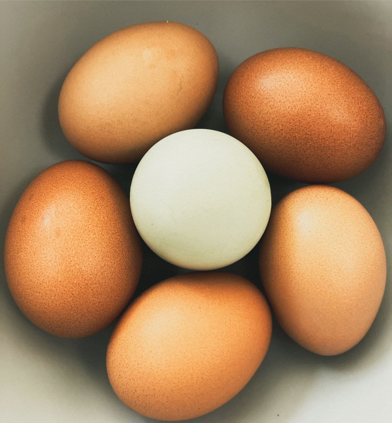 A bowl of fresh eggs from the henhouse in shades of brown and cream