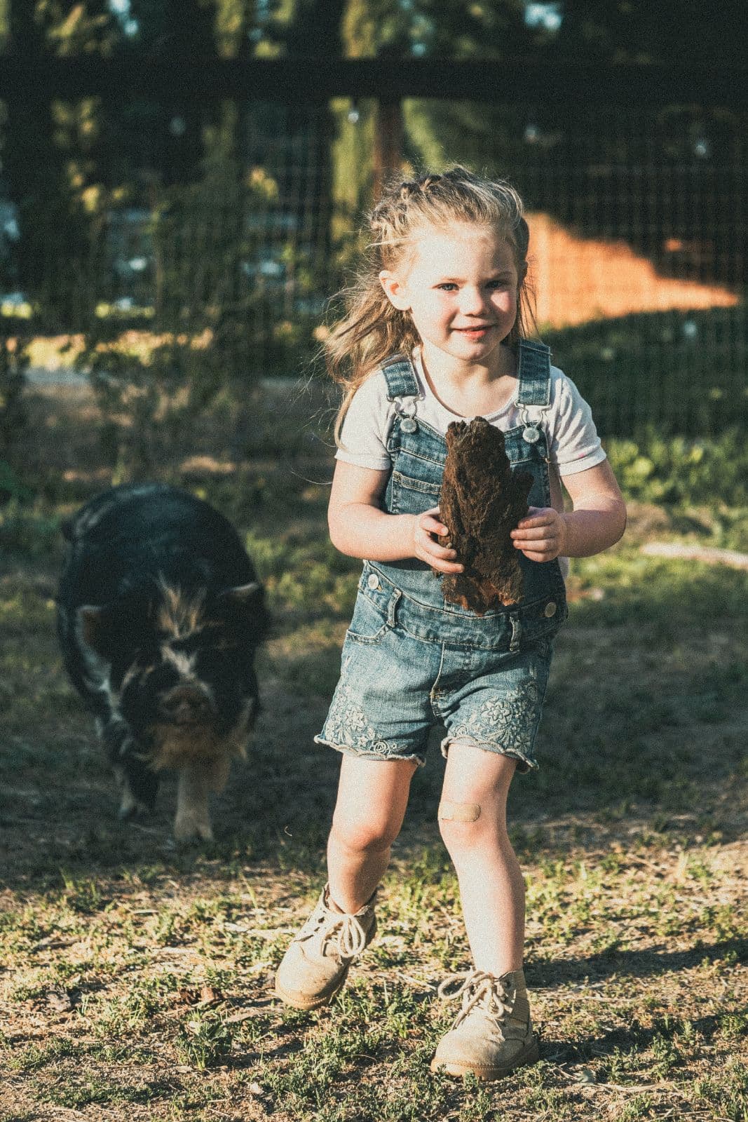 A little girl running across the farmyard with a pot-bellied pig trotting behind her